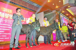 公司年会现奇葩奖品 员工喜提活牲畜引热议